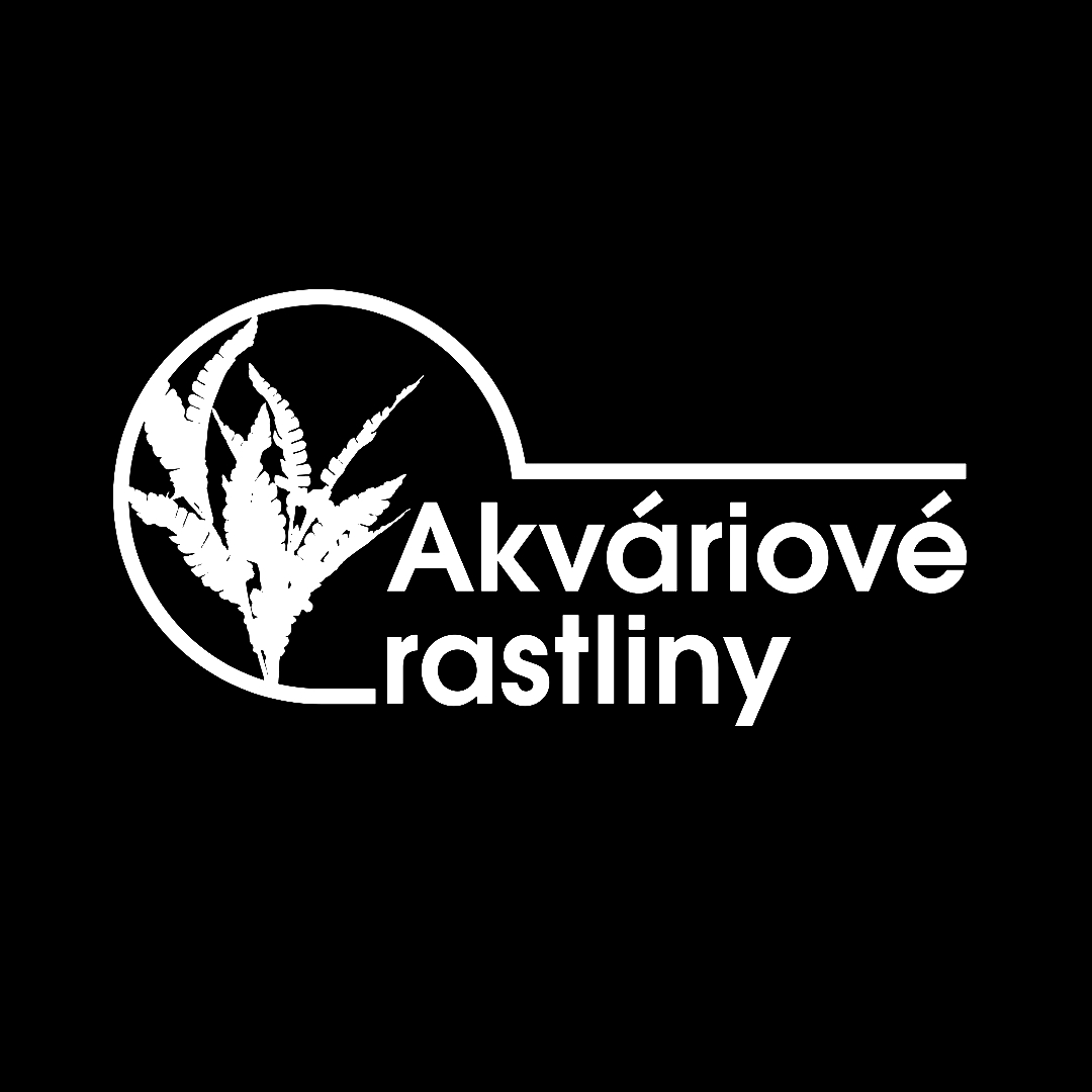 Still 2026-03-26 233831_2.4.1