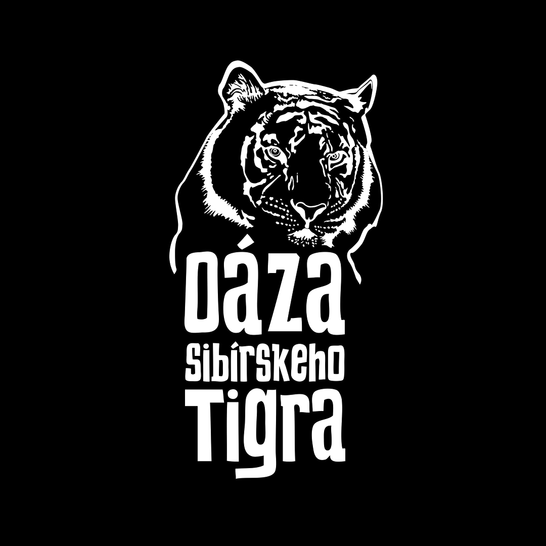 Still 2026-03-27 090022_2.24.1